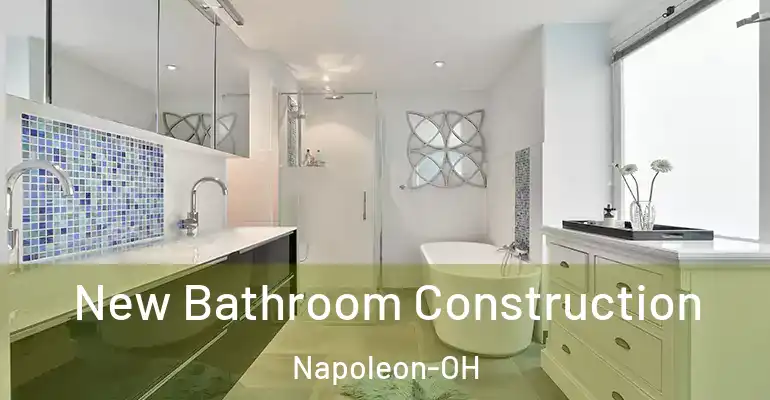inner Bathroom imggen New Bathroom Construction Napoleon-OH