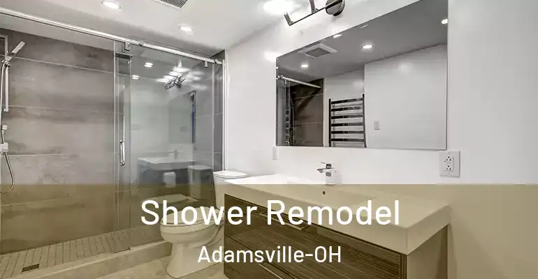 inner Bathroom imggen Shower Remodel Adamsville-OH