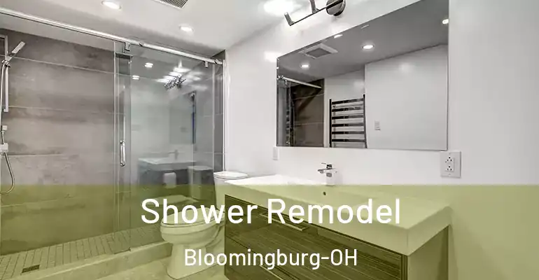 inner Bathroom imggen Shower Remodel Bloomingburg-OH
