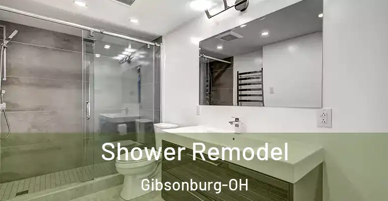 inner Bathroom imggen Shower Remodel Gibsonburg-OH