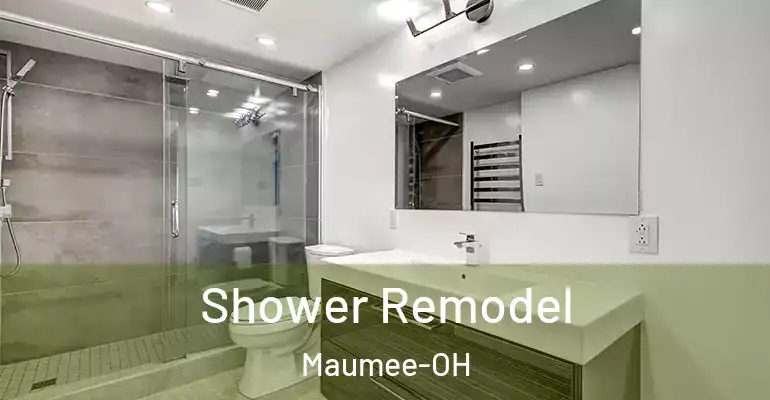 inner Bathroom imggen Shower Remodel Maumee-OH