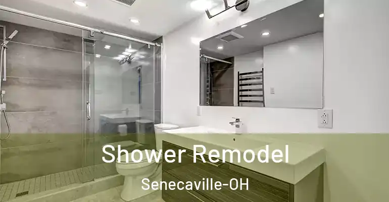 inner Bathroom imggen Shower Remodel Senecaville-OH
