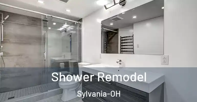 inner Bathroom imggen Shower Remodel Sylvania-OH