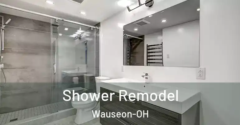 inner Bathroom imggen Shower Remodel Wauseon-OH