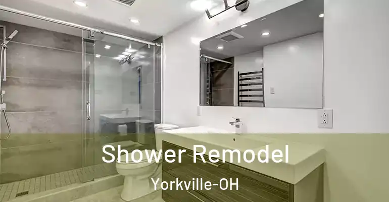 inner Bathroom imggen Shower Remodel Yorkville-OH