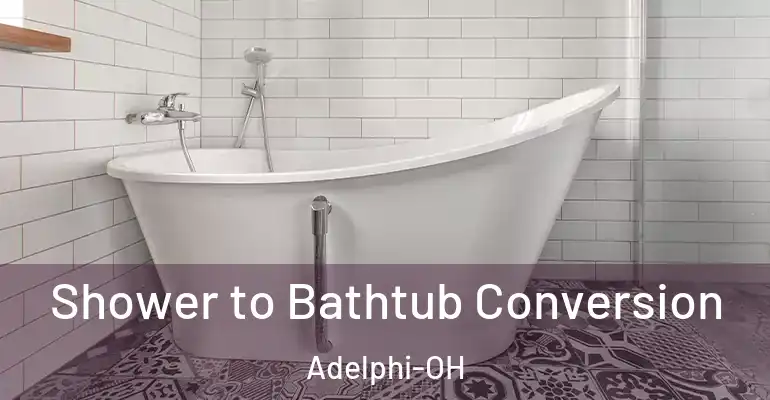 inner Bathroom imggen Shower to Bathtub Conversion Adelphi-OH