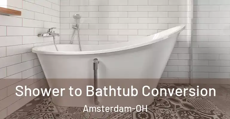 inner Bathroom imggen Shower to Bathtub Conversion Amsterdam-OH