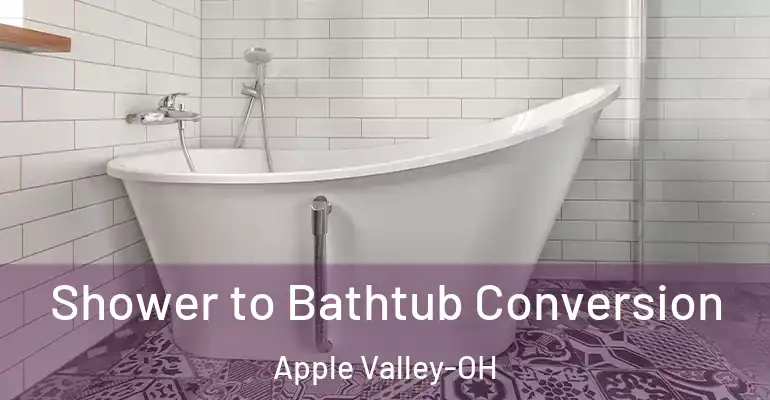 inner Bathroom imggen Shower to Bathtub Conversion Apple Valley-OH
