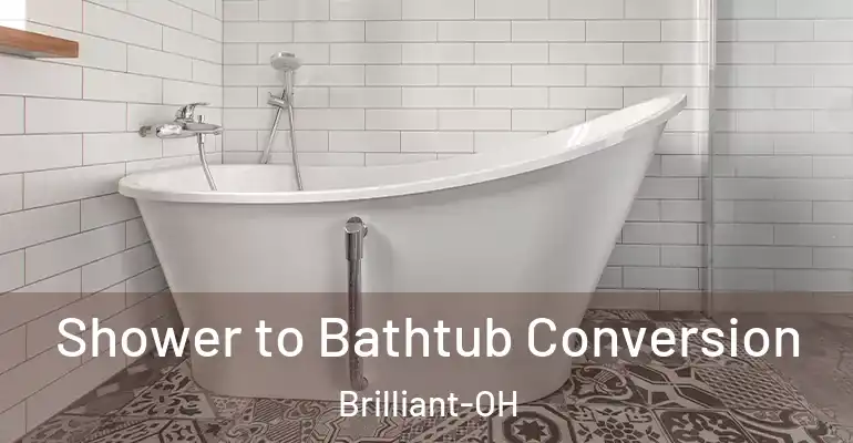 inner Bathroom imggen Shower to Bathtub Conversion Brilliant-OH
