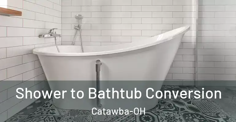 inner Bathroom imggen Shower to Bathtub Conversion Catawba-OH