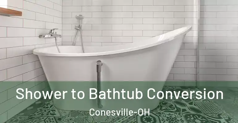 inner Bathroom imggen Shower to Bathtub Conversion Conesville-OH
