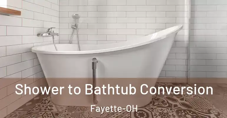 inner Bathroom imggen Shower to Bathtub Conversion Fayette-OH