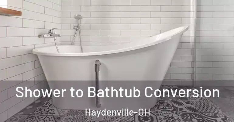 inner Bathroom imggen Shower to Bathtub Conversion Haydenville-OH