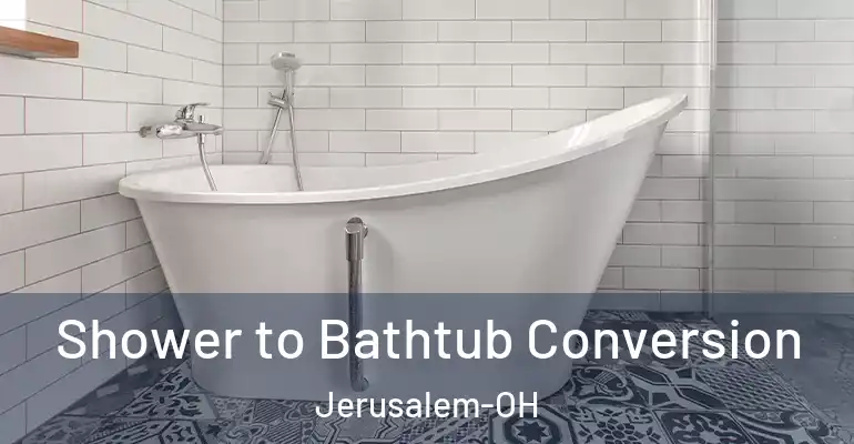 inner Bathroom imggen Shower to Bathtub Conversion Jerusalem-OH