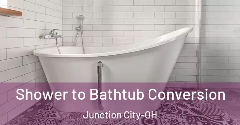 inner Bathroom imggen Shower to Bathtub Conversion Junction City-OH