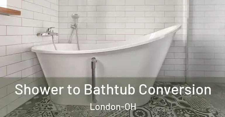 inner Bathroom imggen Shower to Bathtub Conversion London-OH