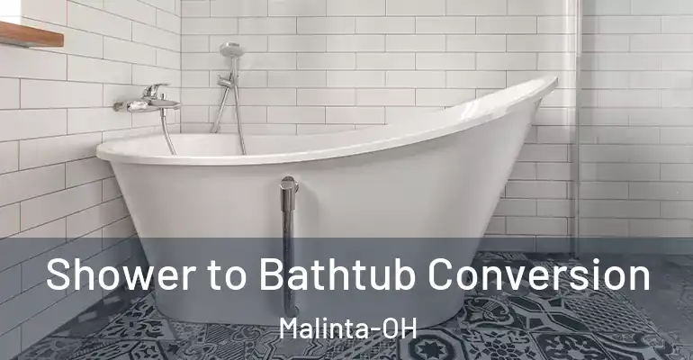 inner Bathroom imggen Shower to Bathtub Conversion Malinta-OH