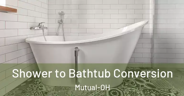 inner Bathroom imggen Shower to Bathtub Conversion Mutual-OH