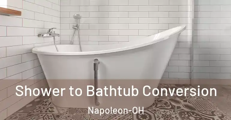 inner Bathroom imggen Shower to Bathtub Conversion Napoleon-OH