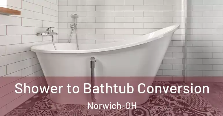 inner Bathroom imggen Shower to Bathtub Conversion Norwich-OH