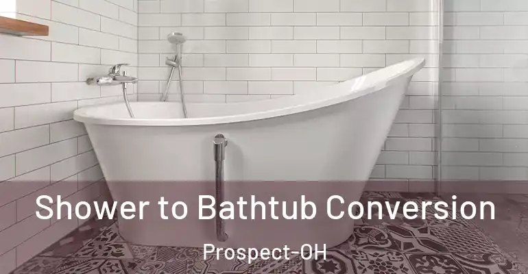 inner Bathroom imggen Shower to Bathtub Conversion Prospect-OH