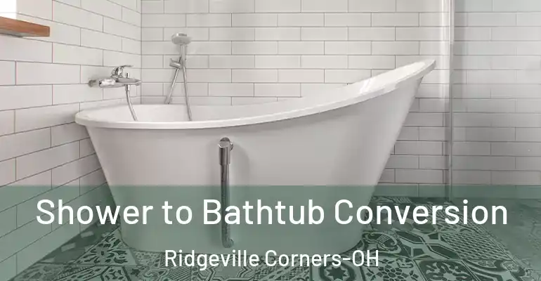 inner Bathroom imggen Shower to Bathtub Conversion Ridgeville Corners-OH
