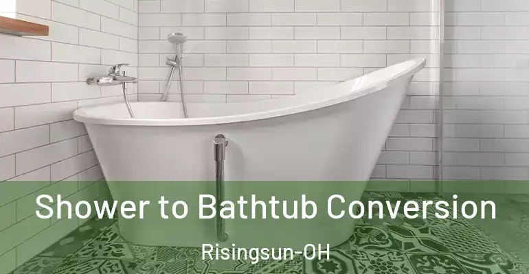 inner Bathroom imggen Shower to Bathtub Conversion Risingsun-OH