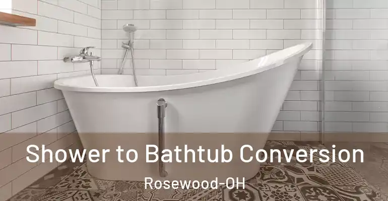 inner Bathroom imggen Shower to Bathtub Conversion Rosewood-OH