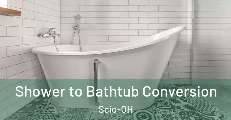 inner Bathroom imggen Shower to Bathtub Conversion Scio-OH