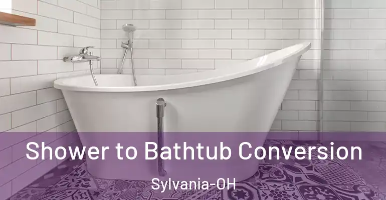 inner Bathroom imggen Shower to Bathtub Conversion Sylvania-OH