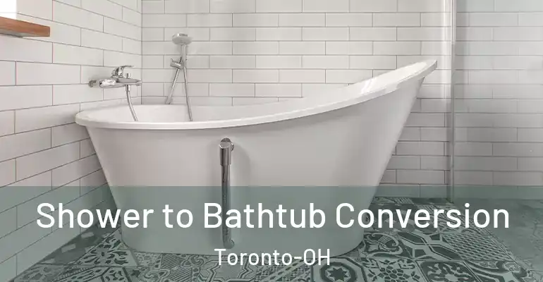 inner Bathroom imggen Shower to Bathtub Conversion Toronto-OH