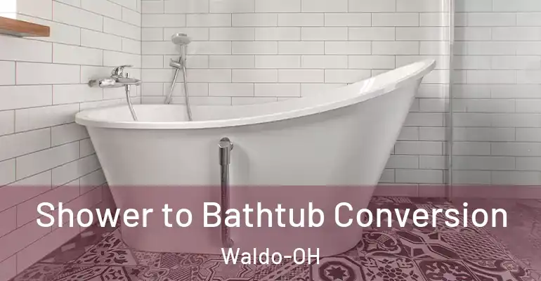 inner Bathroom imggen Shower to Bathtub Conversion Waldo-OH