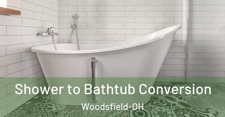 inner Bathroom imggen Shower to Bathtub Conversion Woodsfield-OH