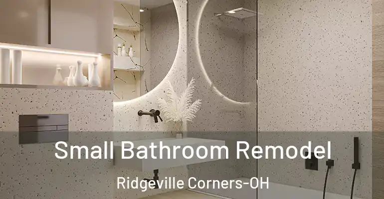 inner Bathroom imggen Small Bathroom Remodel Ridgeville Corners-OH