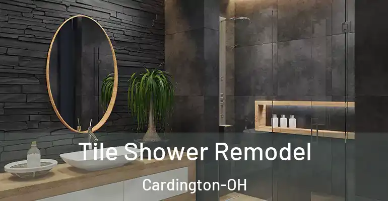 inner Bathroom imggen Tile Shower Remodel Cardington-OH