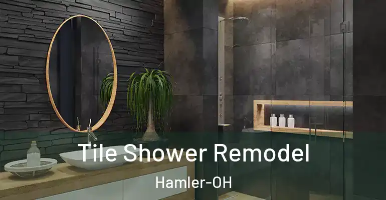 inner Bathroom imggen Tile Shower Remodel Hamler-OH