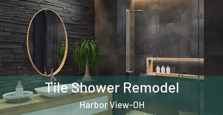 inner Bathroom imggen Tile Shower Remodel Harbor View-OH