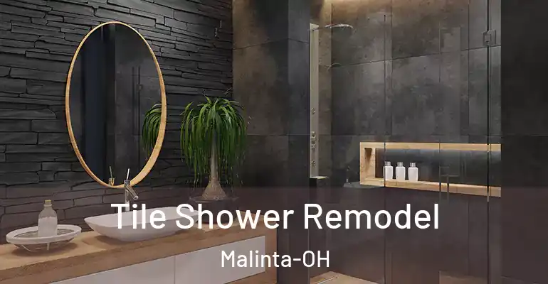 inner Bathroom imggen Tile Shower Remodel Malinta-OH