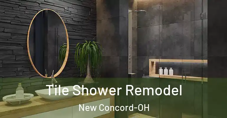 inner Bathroom imggen Tile Shower Remodel New Concord-OH