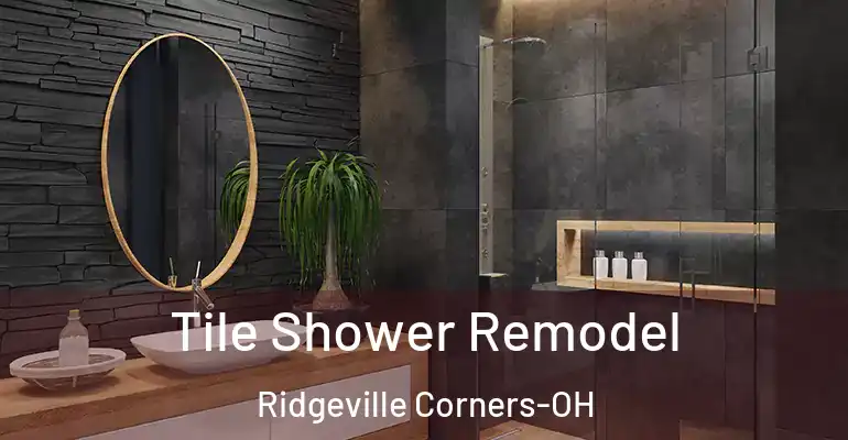 inner Bathroom imggen Tile Shower Remodel Ridgeville Corners-OH
