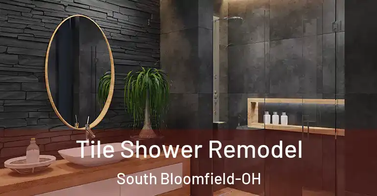 inner Bathroom imggen Tile Shower Remodel South Bloomfield-OH