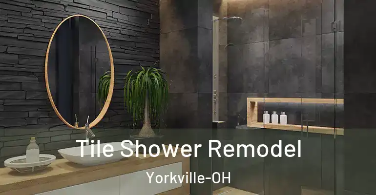 inner Bathroom imggen Tile Shower Remodel Yorkville-OH