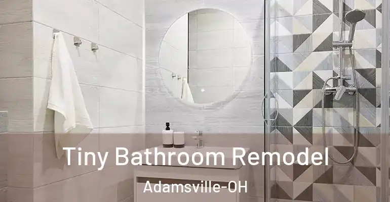 inner Bathroom imggen Tiny Bathroom Remodel Adamsville-OH