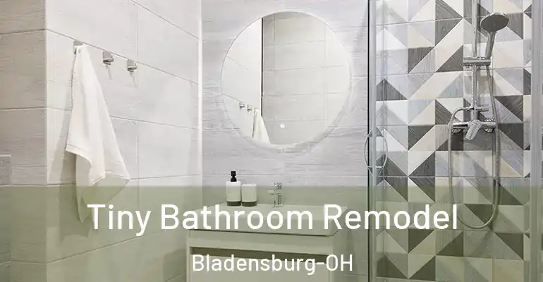inner Bathroom imggen Tiny Bathroom Remodel Bladensburg-OH