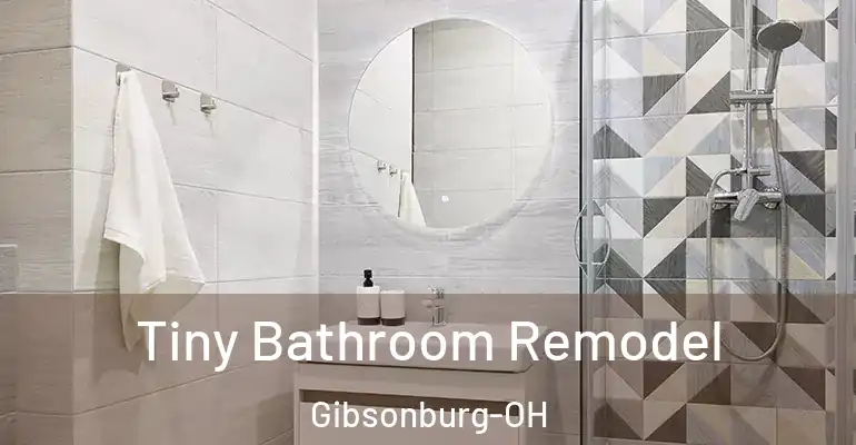 inner Bathroom imggen Tiny Bathroom Remodel Gibsonburg-OH