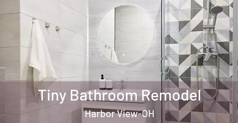inner Bathroom imggen Tiny Bathroom Remodel Harbor View-OH