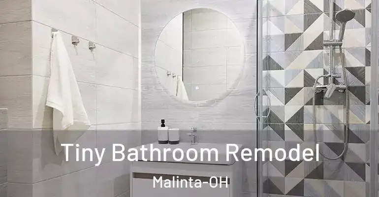 inner Bathroom imggen Tiny Bathroom Remodel Malinta-OH