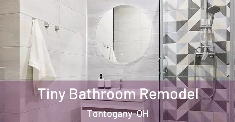 inner Bathroom imggen Tiny Bathroom Remodel Tontogany-OH
