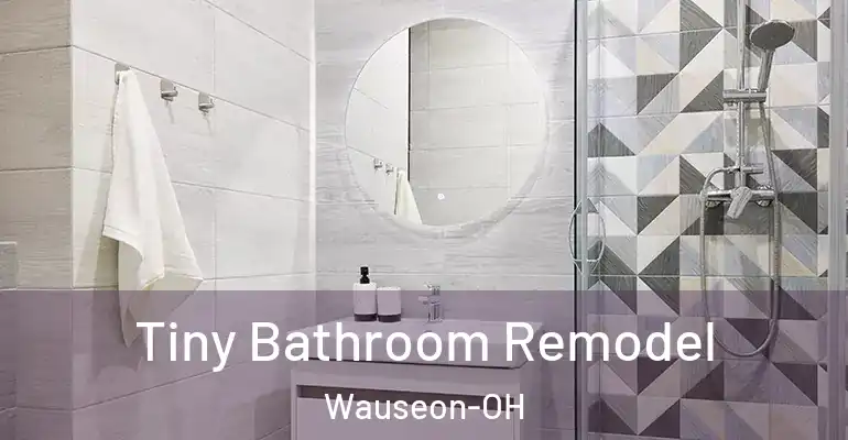 inner Bathroom imggen Tiny Bathroom Remodel Wauseon-OH