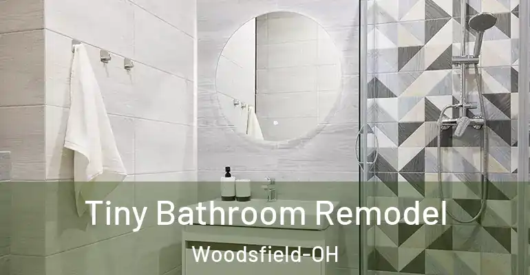 inner Bathroom imggen Tiny Bathroom Remodel Woodsfield-OH